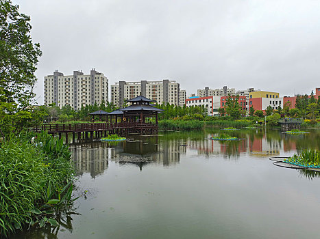 山东省日照市,大雨过后的公园水面如镜,市民悠闲垂钓乐享周末