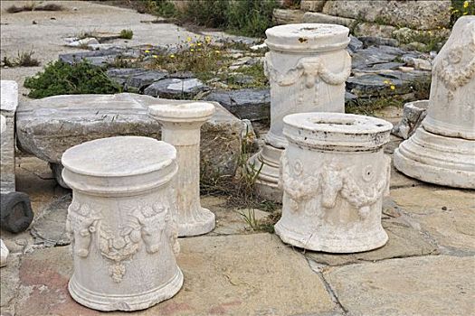 柱子,装饰,头部,阿哥拉,得洛斯,希腊