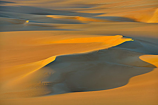 沙丘,沙子,海洋,利比亚沙漠,撒哈拉沙漠,埃及,北非,非洲