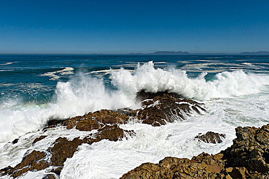 波浪,挤压,路线,桌山,背影,西海角,南非,非洲