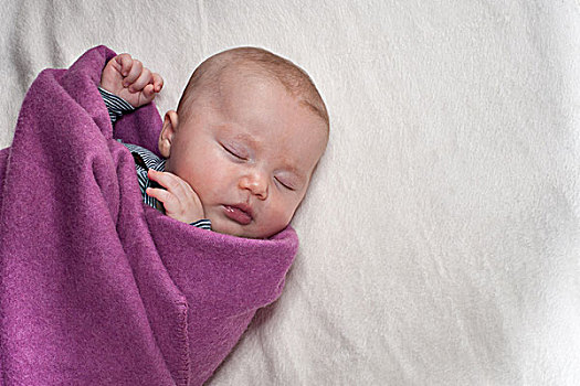 诞生,睡觉,丁香,毯子