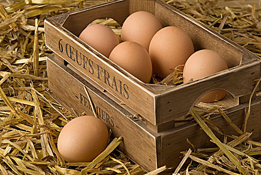 生活,鸡,盒子,褐色,有机,蛋