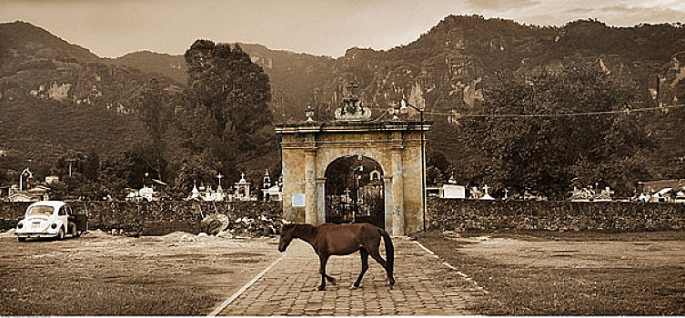马,穿过,人行道,墓地,大门,莫雷洛斯,墨西哥