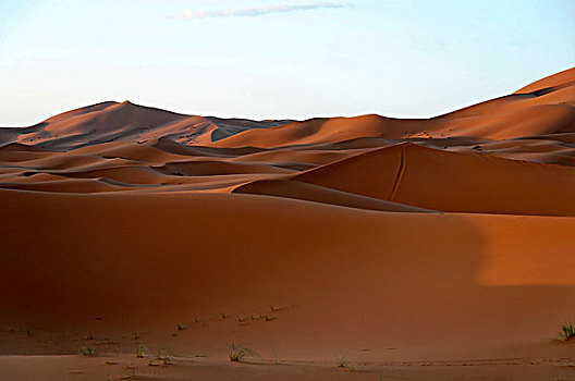却比沙丘,沙漠,梅如卡,摩洛哥,非洲