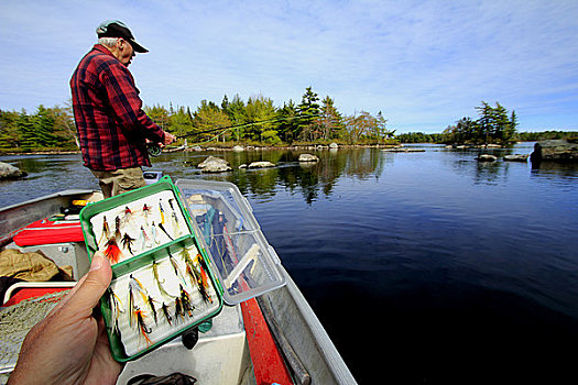 人,拿着,盒子,钓鱼,长者,飞钓,河,国家公园,新斯科舍省,加拿大