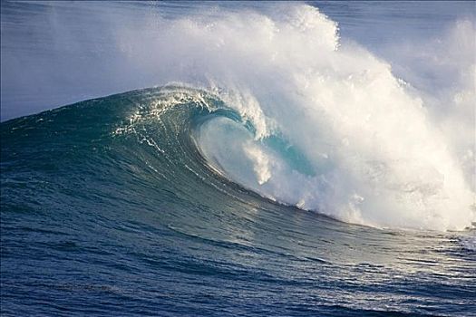 夏威夷,毛伊岛,碰撞,颚部,海浪,斑点