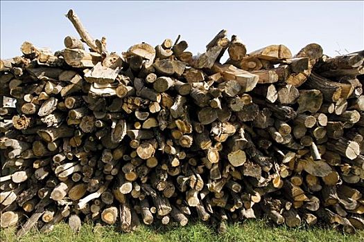 木堆,一堆,木柴