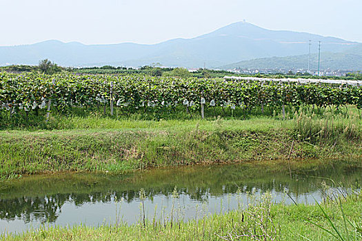 苏州西山