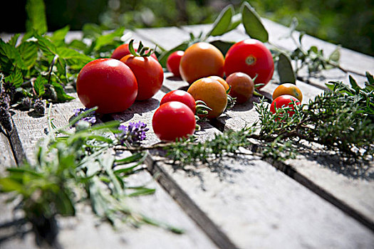多样,西红柿,新鲜,药草,木桌子