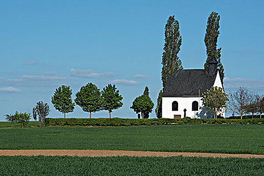 十字架,神圣十字架的小礼拜堂,莱茵兰普法尔茨州,德国,欧洲
