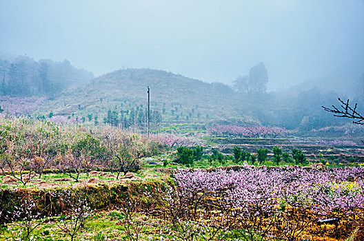 雾色田园