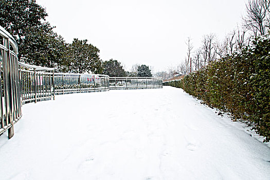 雪景