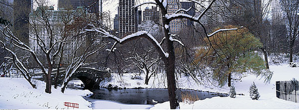 中央公园,雪中,纽约,美国