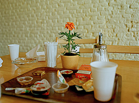 残余物,白天,早餐,桌子,橙色,花,中间