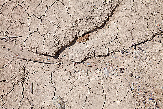 干燥,裂土,加利福尼亚,美国