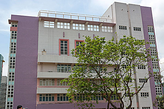 学校,九龙,钳,香港