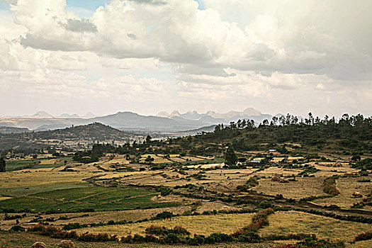 阿克苏姆,埃塞俄比亚