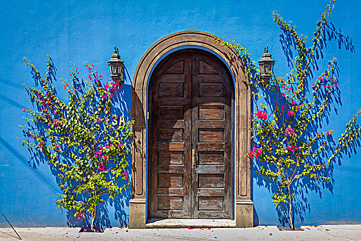 有花灌木,灯笼,拱形,木质,入口,蓝色,涂绘,石头,建筑,圣米格尔,墨西哥