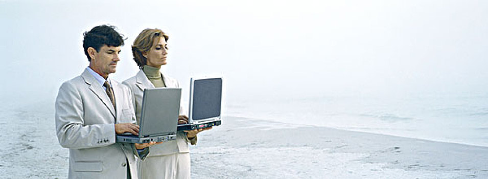 商务人士,女人,站立,拿着,笔记本电脑,海滩