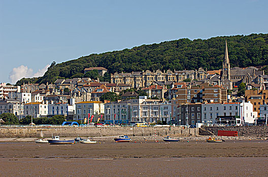 英格兰,萨默塞特,风景,海滩