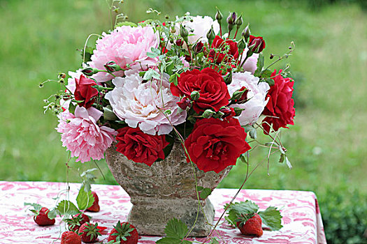 安放,玫瑰,牡丹,野草莓