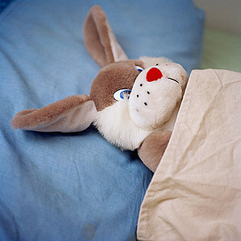 玩具,兔子,床上