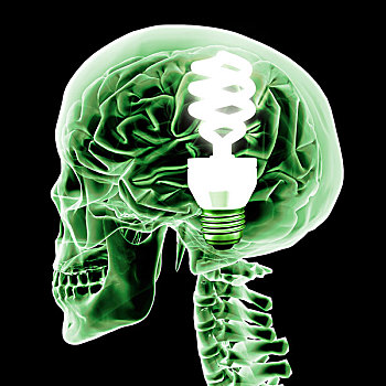 大脑,绿色,亮光,灯泡,数码,图像,