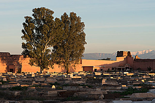 墓穴,犹太,墓地,麦地那,马拉喀什,摩洛哥