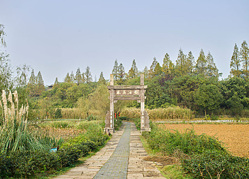 杏花村文化旅游区,白蒲荷风景区