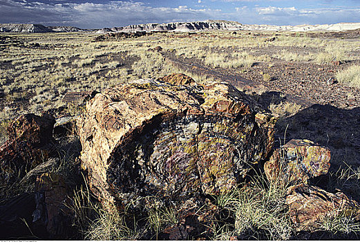石化森林国家公园,亚利桑那,美国