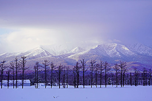 山,北海道,日本