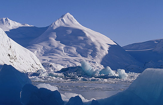 冰山,波蒂奇,湖,冬天,阿拉斯加
