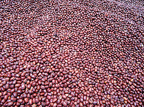 土特产红豆