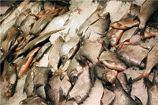 新鲜,铜盆鱼,鱼肉,市场