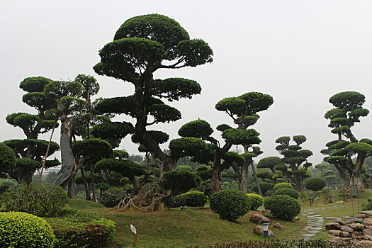 南宁,南湖公园,湿地公园,河道,水塘,植物,治理,树木,休闲,公园