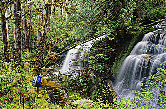 瀑布,大熊雨林,不列颠哥伦比亚省,加拿大