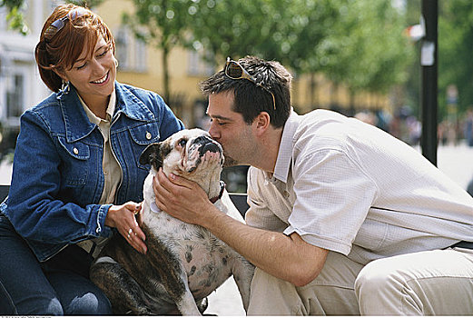 男人,女人,人行道,牛头犬