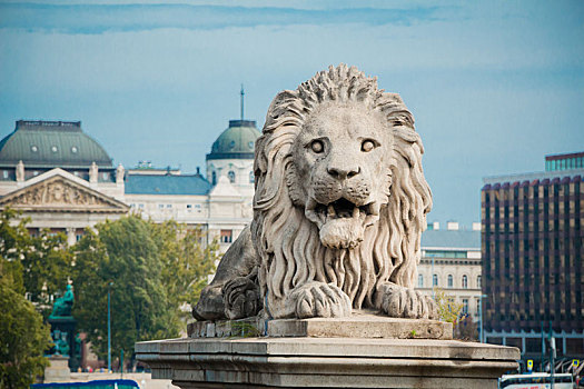 狮子,雕塑,链索桥,布达佩斯,匈牙利