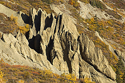 怪岩柱,腐蚀,软,砂岩,绵羊,山,山峦,克卢恩国家公园,自然保护区,育空地区,加拿大