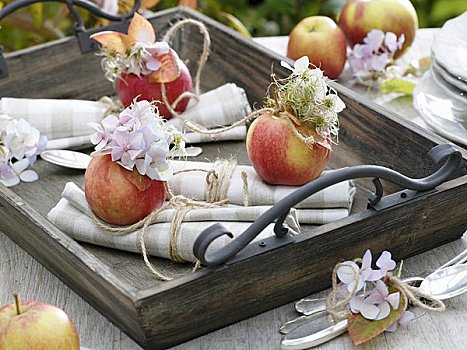 餐巾,装饰,苹果,八仙花属,铁线莲,秋叶
