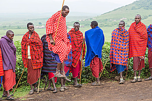 男人,传统,红色,蓝色,衣服,排列,山坡,表演,跳跃,跳舞,恩戈罗恩戈罗,保护区,坦桑尼亚