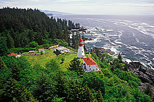 灯塔,西海岸小径,温哥华岛,不列颠哥伦比亚省,加拿大