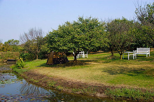 城市绿地,湿地公园