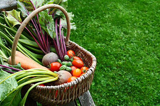 编织物,篮子,新鲜,收获,蔬菜,小块菜地