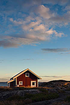 红色,木屋,海岸线,瑞典