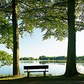 长椅,两个,山毛榉树,水塘,区域,自然公园,地区,图林根州,德国,欧洲