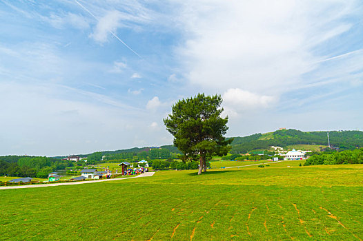 湖北武汉木兰草原风景区初夏风光