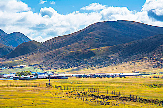 祁连山山麓亚洲最大的半野生鹿基地