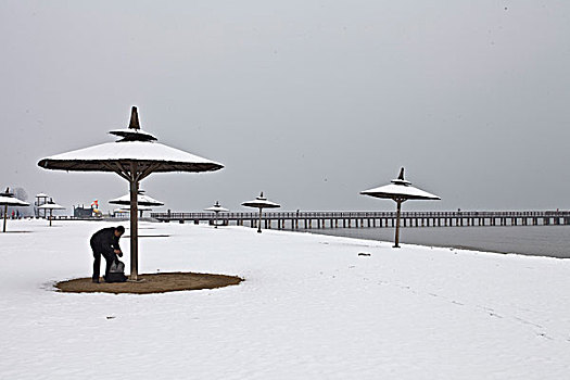 雪,海边,下雪,大海,沙滩,阳伞,安静,干净,秦皇岛,北戴河