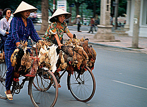 两个,鸡,市场,越南